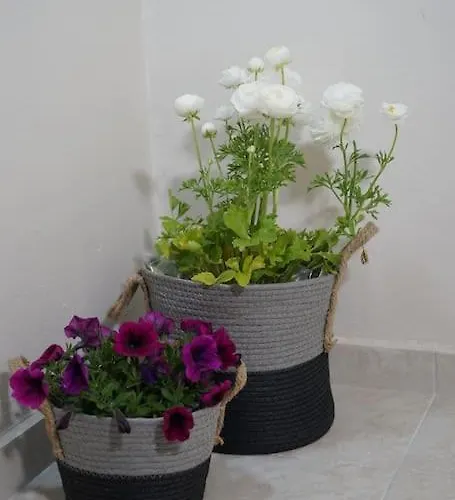 Giannata House * Dilinata