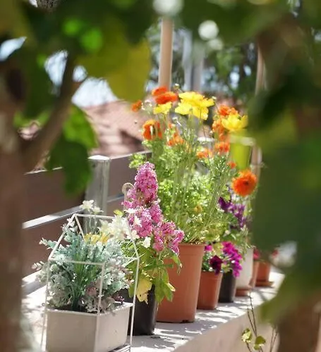 Дом отдыха Giannata House *